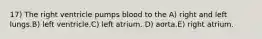 17) The right ventricle pumps blood to the A) right and left lungs.B) left ventricle.C) left atrium. D) aorta.E) right atrium.