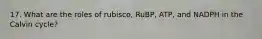 17. What are the roles of rubisco, RuBP, ATP, and NADPH in the Calvin cycle?