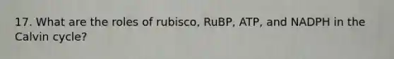 17. What are the roles of rubisco, RuBP, ATP, and NADPH in the Calvin cycle?