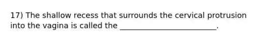 17) The shallow recess that surrounds the cervical protrusion into the vagina is called the _________________________.