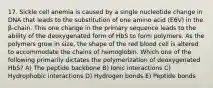 17. Sickle cell anemia is caused by a single nucleotide change in DNA that leads to the substitution of one amino acid (E6V) in the β-chain. This one change in the primary sequence leads to the ability of the deoxygenated form of HbS to form polymers. As the polymers grow in size, the shape of the red blood cell is altered to accommodate the chains of hemoglobin. Which one of the following primarily dictates the polymerization of deoxygenated HbS? A) The peptide backbone B) Ionic interactions C) Hydrophobic interactions D) Hydrogen bonds E) Peptide bonds