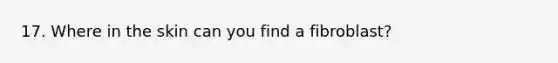 17. Where in the skin can you find a fibroblast?