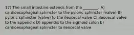 17) The small intestine extends from the ________. A) cardioesophageal sphincter to the pyloric sphincter (valve) B) pyloric sphincter (valve) to the ileocecal valve C) ileocecal valve to the appendix D) appendix to the sigmoid colon E) cardioesophageal sphincter to ileocecal valve