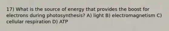 17) What is the source of energy that provides the boost for electrons during photosynthesis? A) light B) electromagnetism C) <a href='https://www.questionai.com/knowledge/k1IqNYBAJw-cellular-respiration' class='anchor-knowledge'>cellular respiration</a> D) ATP