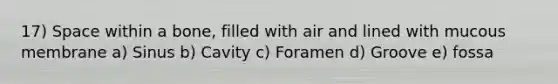 17) Space within a bone, filled with air and lined with mucous membrane a) Sinus b) Cavity c) Foramen d) Groove e) fossa