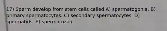 17) Sperm develop from stem cells called A) spermatogonia. B) primary spermatocytes. C) secondary spermatocytes. D) spermatids. E) spermatozoa.