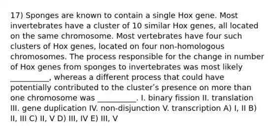 17) Sponges are known to contain a single Hox gene. Most invertebrates have a cluster of 10 similar Hox genes, all located on the same chromosome. Most vertebrates have four such clusters of Hox genes, located on four non-homologous chromosomes. The process responsible for the change in number of Hox genes from sponges to invertebrates was most likely __________, whereas a different process that could have potentially contributed to the clusterʹs presence on more than one chromosome was __________. I. binary fission II. translation III. gene duplication IV. non-disjunction V. transcription A) I, II B) II, III C) II, V D) III, IV E) III, V