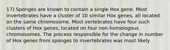 17) Sponges are known to contain a single Hox gene. Most invertebrates have a cluster of 10 similar Hox genes, all located on the same chromosome. Most vertebrates have four such clusters of Hox genes, located on four non-homologous chromosomes. The process responsible for the change in number of Hox genes from sponges to invertebrates was most likely