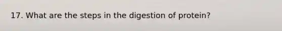 17. What are the steps in the digestion of protein?