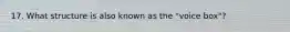 17. What structure is also known as the "voice box"?