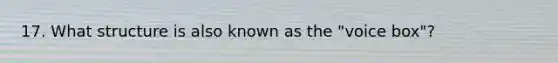 17. What structure is also known as the "voice box"?