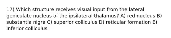 17) Which structure receives visual input from the lateral geniculate nucleus of the ipsilateral thalamus? A) red nucleus B) substantia nigra C) superior colliculus D) reticular formation E) inferior colliculus