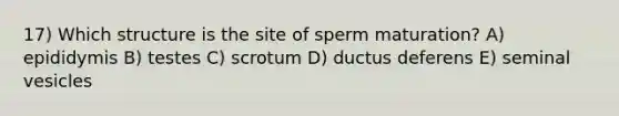 17) Which structure is the site of sperm maturation? A) epididymis B) testes C) scrotum D) ductus deferens E) seminal vesicles