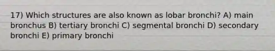 17) Which structures are also known as lobar bronchi? A) main bronchus B) tertiary bronchi C) segmental bronchi D) secondary bronchi E) primary bronchi