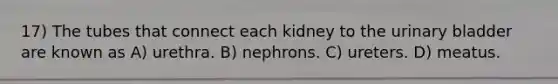 17) The tubes that connect each kidney to the urinary bladder are known as A) urethra. B) nephrons. C) ureters. D) meatus.