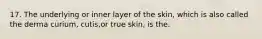 17. The underlying or inner layer of the skin, which is also called the derma curium, cutis,or true skin, is the.