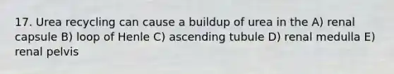17. Urea recycling can cause a buildup of urea in the A) renal capsule B) loop of Henle C) ascending tubule D) renal medulla E) renal pelvis