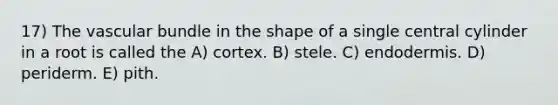 17) The vascular bundle in the shape of a single central cylinder in a root is called the A) cortex. B) stele. C) endodermis. D) periderm. E) pith.