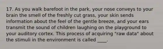 17. As you walk barefoot in the park, your nose conveys to your brain the smell of the freshly cut grass, your skin sends information about the feel of the gentle breeze, and your ears transmit the sound of children laughing on the playground to your auditory cortex. This process of acquiring "raw data" about the stimuli in the environment is called ____.