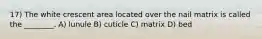 17) The white crescent area located over the nail matrix is called the ________. A) lunule B) cuticle C) matrix D) bed