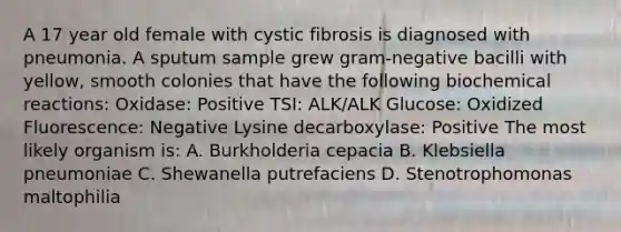 A 17 year old female with cystic fibrosis is diagnosed with pneumonia. A sputum sample grew gram-negative bacilli with yellow, smooth colonies that have the following <a href='https://www.questionai.com/knowledge/kVn7fMxiFS-biochemical-reactions' class='anchor-knowledge'>biochemical reactions</a>: Oxidase: Positive TSI: ALK/ALK Glucose: Oxidized Fluorescence: Negative Lysine decarboxylase: Positive The most likely organism is: A. Burkholderia cepacia B. Klebsiella pneumoniae C. Shewanella putrefaciens D. Stenotrophomonas maltophilia