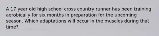 A 17 year old high school cross country runner has been training aerobically for six months in preparation for the upcoming season. Which adaptations will occur in the muscles during that time?