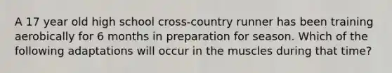 A 17 year old high school cross-country runner has been training aerobically for 6 months in preparation for season. Which of the following adaptations will occur in the muscles during that time?