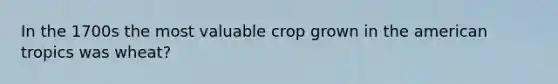 In the 1700s the most valuable crop grown in the american tropics was wheat?