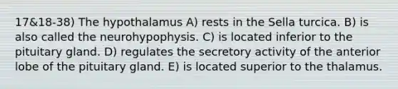 17&18-38) The hypothalamus A) rests in the Sella turcica. B) is also called the neurohypophysis. C) is located inferior to the pituitary gland. D) regulates the secretory activity of the anterior lobe of the pituitary gland. E) is located superior to the thalamus.