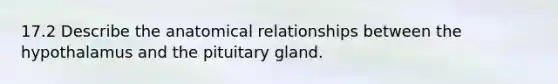 17.2 Describe the anatomical relationships between the hypothalamus and the pituitary gland.