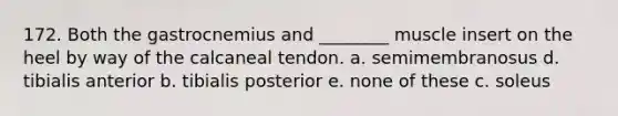 172. Both the gastrocnemius and ________ muscle insert on the heel by way of the calcaneal tendon. a. semimembranosus d. tibialis anterior b. tibialis posterior e. none of these c. soleus