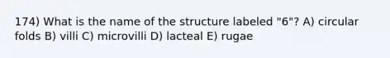 174) What is the name of the structure labeled "6"? A) circular folds B) villi C) microvilli D) lacteal E) rugae