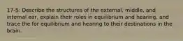 17-5: Describe the structures of the external, middle, and internal ear, explain their roles in equilibrium and hearing, and trace the for equilibrium and hearing to their destinations in the brain.