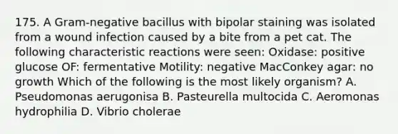 175. A Gram-negative bacillus with bipolar staining was isolated from a wound infection caused by a bite from a pet cat. The following characteristic reactions were seen: Oxidase: positive glucose OF: fermentative Motility: negative MacConkey agar: no growth Which of the following is the most likely organism? A. Pseudomonas aerugonisa B. Pasteurella multocida C. Aeromonas hydrophilia D. Vibrio cholerae