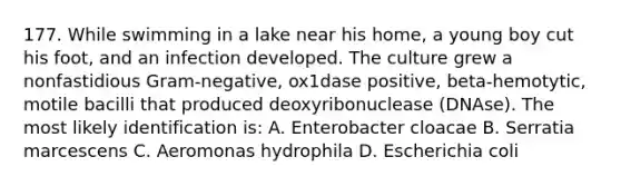 177. While swimming in a lake near his home, a young boy cut his foot, and an infection developed. The culture grew a nonfastidious Gram-negative, ox1dase positive, beta-hemotytic, motile bacilli that produced deoxyribonuclease (DNAse). The most likely identification is: A. Enterobacter cloacae B. Serratia marcescens C. Aeromonas hydrophila D. Escherichia coli