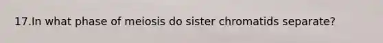 17.In what phase of meiosis do sister chromatids separate?