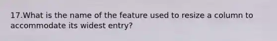 17.What is the name of the feature used to resize a column to accommodate its widest entry?