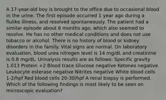 A 17-year-old boy is brought to the office due to occasional blood in the urine. The first episode occurred 1 year ago during a flulike illness, and resolved spontaneously. The patient had a similar episode about 6 months ago, which also seemed to resolve. He has no other medical conditions and does not use tobacco or alcohol. There is no history of blood or kidney disorders in the family. Vital signs are normal. On laboratory evaluation, blood urea nitrogen level is 14 mg/dL and creatinine is 0.8 mg/dL. Urinalysis results are as follows: Specific gravity 1.013 Protein +2 Blood trace Glucose negative Ketones negative Leukocyte esterase negative Nitrites negative White blood cells 1-2/hpf Red blood cells 20-30/hpf A renal biopsy is performed. Which of the following findings is most likely to be seen on microscopic evaluation?