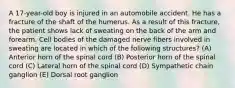 A 17-year-old boy is injured in an automobile accident. He has a fracture of the shaft of the humerus. As a result of this fracture, the patient shows lack of sweating on the back of the arm and forearm. Cell bodies of the damaged nerve fibers involved in sweating are located in which of the following structures? (A) Anterior horn of the spinal cord (B) Posterior horn of the spinal cord (C) Lateral horn of the spinal cord (D) Sympathetic chain ganglion (E) Dorsal root ganglion