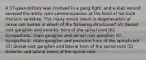 A 17-year-old boy was involved in a gang fight, and a stab wound severed the white rami communicantes at the level of his sixth thoracic vertebra. This injury would result in degeneration of nerve cell bodies in which of the following structures? (A) Dorsal root ganglion and anterior horn of the spinal cord (B) Sympathetic chain ganglion and dorsal root ganglion (C) Sympathetic chain ganglion and posterior horn of the spinal cord (D) Dorsal root ganglion and lateral horn of the spinal cord (E) Anterior and lateral horns of the spinal cord