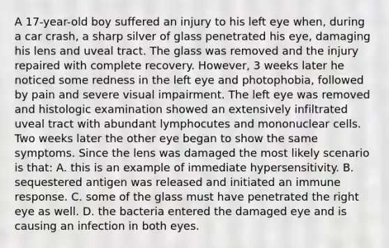 A 17-year-old boy suffered an injury to his left eye when, during a car crash, a sharp silver of glass penetrated his eye, damaging his lens and uveal tract. The glass was removed and the injury repaired with complete recovery. However, 3 weeks later he noticed some redness in the left eye and photophobia, followed by pain and severe visual impairment. The left eye was removed and histologic examination showed an extensively infiltrated uveal tract with abundant lymphocutes and mononuclear cells. Two weeks later the other eye began to show the same symptoms. Since the lens was damaged the most likely scenario is that: A. this is an example of immediate hypersensitivity. B. sequestered antigen was released and initiated an immune response. C. some of the glass must have penetrated the right eye as well. D. the bacteria entered the damaged eye and is causing an infection in both eyes.