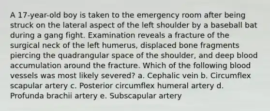 A 17-year-old boy is taken to the emergency room after being struck on the lateral aspect of the left shoulder by a baseball bat during a gang fight. Examination reveals a fracture of the surgical neck of the left humerus, displaced bone fragments piercing the quadrangular space of the shoulder, and deep blood accumulation around the fracture. Which of the following blood vessels was most likely severed? a. Cephalic vein b. Circumflex scapular artery c. Posterior circumflex humeral artery d. Profunda brachii artery e. Subscapular artery