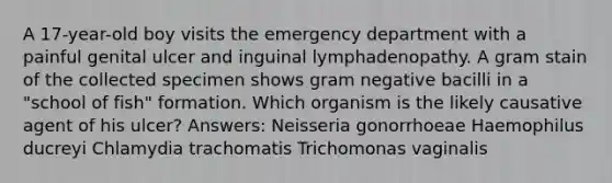 A 17-year-old boy visits the emergency department with a painful genital ulcer and inguinal lymphadenopathy. A gram stain of the collected specimen shows gram negative bacilli in a "school of fish" formation. Which organism is the likely causative agent of his ulcer? Answers: Neisseria gonorrhoeae Haemophilus ducreyi Chlamydia trachomatis Trichomonas vaginalis