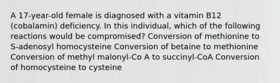 A 17-year-old female is diagnosed with a vitamin B12 (cobalamin) deficiency. In this individual, which of the following reactions would be compromised? Conversion of methionine to S-adenosyl homocysteine Conversion of betaine to methionine Conversion of methyl malonyl-Co A to succinyl-CoA Conversion of homocysteine to cysteine