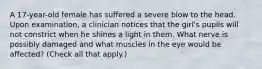 A 17-year-old female has suffered a severe blow to the head. Upon examination, a clinician notices that the girl's pupils will not constrict when he shines a light in them. What nerve is possibly damaged and what muscles in the eye would be affected? (Check all that apply.)