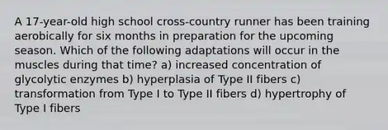 A 17-year-old high school cross-country runner has been training aerobically for six months in preparation for the upcoming season. Which of the following adaptations will occur in the muscles during that time? a) increased concentration of glycolytic enzymes b) hyperplasia of Type II fibers c) transformation from Type I to Type II fibers d) hypertrophy of Type I fibers