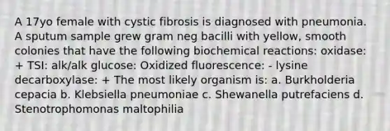 A 17yo female with cystic fibrosis is diagnosed with pneumonia. A sputum sample grew gram neg bacilli with yellow, smooth colonies that have the following biochemical reactions: oxidase: + TSI: alk/alk glucose: Oxidized fluorescence: - lysine decarboxylase: + The most likely organism is: a. Burkholderia cepacia b. Klebsiella pneumoniae c. Shewanella putrefaciens d. Stenotrophomonas maltophilia