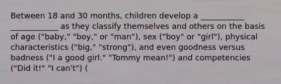 Between 18 and 30 months, children develop a ___________ ____________ as they classify themselves and others on the basis of age ("baby," "boy," or "man"), sex ("boy" or "girl"), physical characteristics ("big," "strong"), and even goodness versus badness ("I a good girl." "Tommy mean!") and competencies ("Did it!" "I can't") (