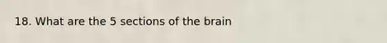 18. What are the 5 sections of the brain