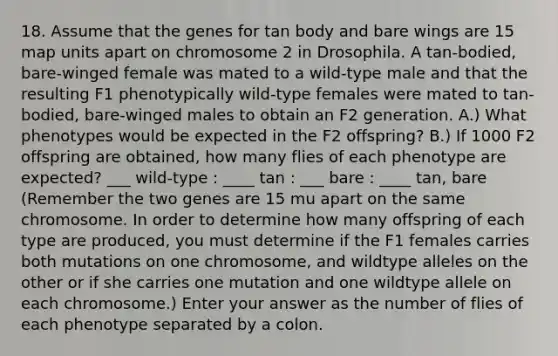 18. Assume that the genes for tan body and bare wings are 15 map units apart on chromosome 2 in Drosophila. A tan-bodied, bare-winged female was mated to a wild-type male and that the resulting F1 phenotypically wild-type females were mated to tan-bodied, bare-winged males to obtain an F2 generation. A.) What phenotypes would be expected in the F2 offspring? B.) If 1000 F2 offspring are obtained, how many flies of each phenotype are expected? ___ wild-type : ____ tan : ___ bare : ____ tan, bare (Remember the two genes are 15 mu apart on the same chromosome. In order to determine how many offspring of each type are produced, you must determine if the F1 females carries both mutations on one chromosome, and wildtype alleles on the other or if she carries one mutation and one wildtype allele on each chromosome.) Enter your answer as the number of flies of each phenotype separated by a colon.